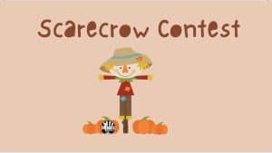 website scarecrow 300x169